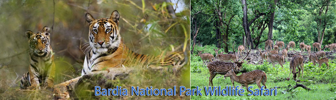 Safari in Bardia National Park