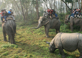 Chitwan Jungle Safari in Nepal