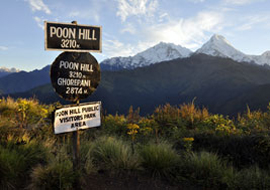 Ghorepani Poon Hill Trekking