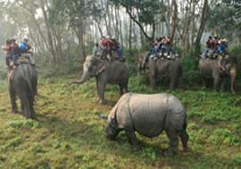 Safari in Nepal